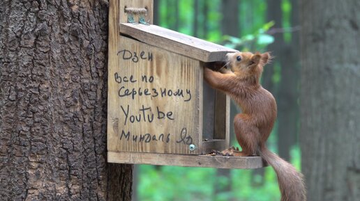 Кормушки опять срезали