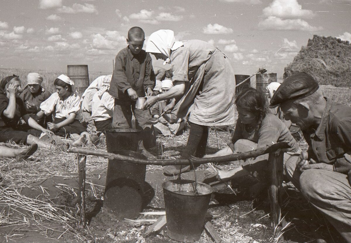 Самарская область: колхоз "Путь Ленина" (село Васильевка) в 1946-1949 годах