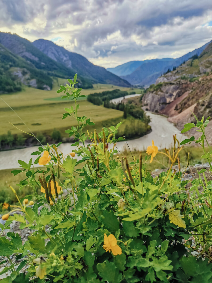 Алтай очень очень очень красив! 
