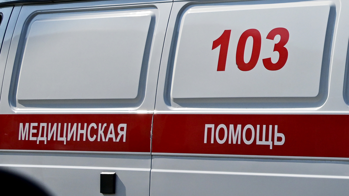 ФОТО: БАРАНОВ ВЛАДИМИР/GLOBALLOOKPRESS 