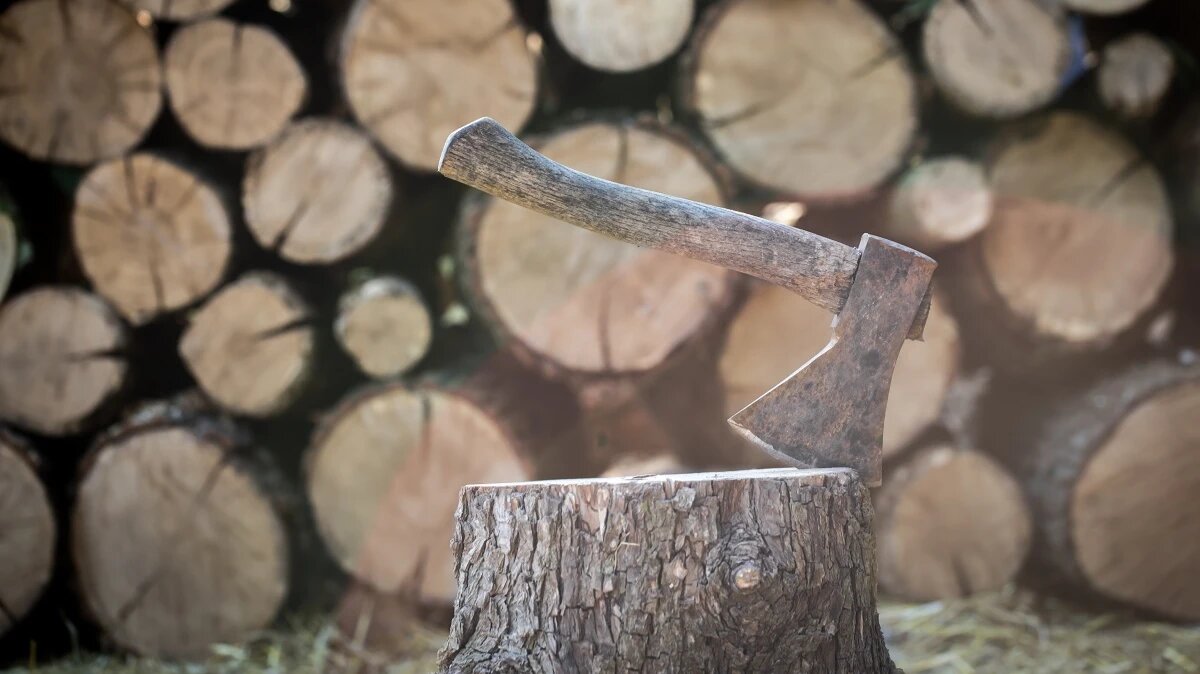 Фото: freepik.com