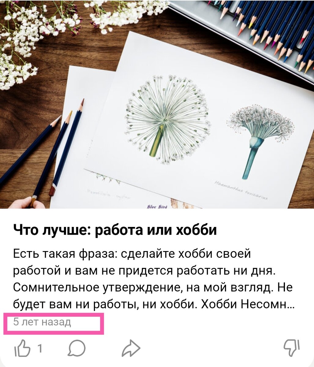 Рассказываю, что выгоднее: Яндекс Дзен или свой сайт | Живу на 11 тр/мес |  Дзен