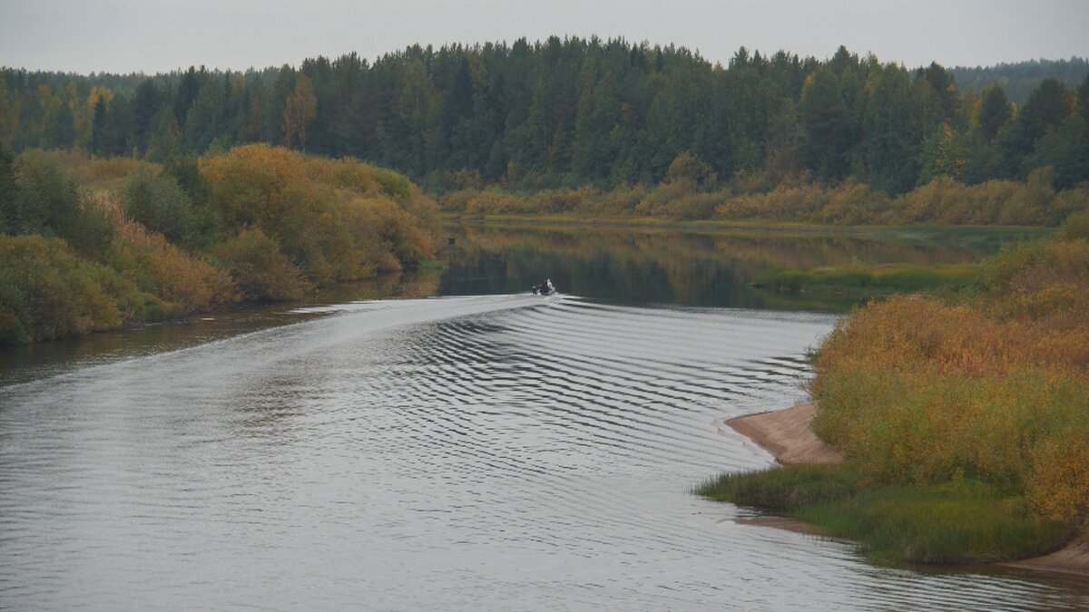 Река Вишера. Корткеросский район, Республика Коми