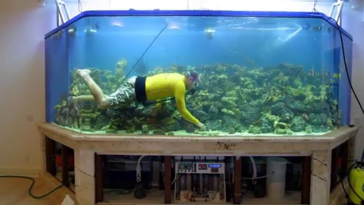 Можно и мужа искупать=))