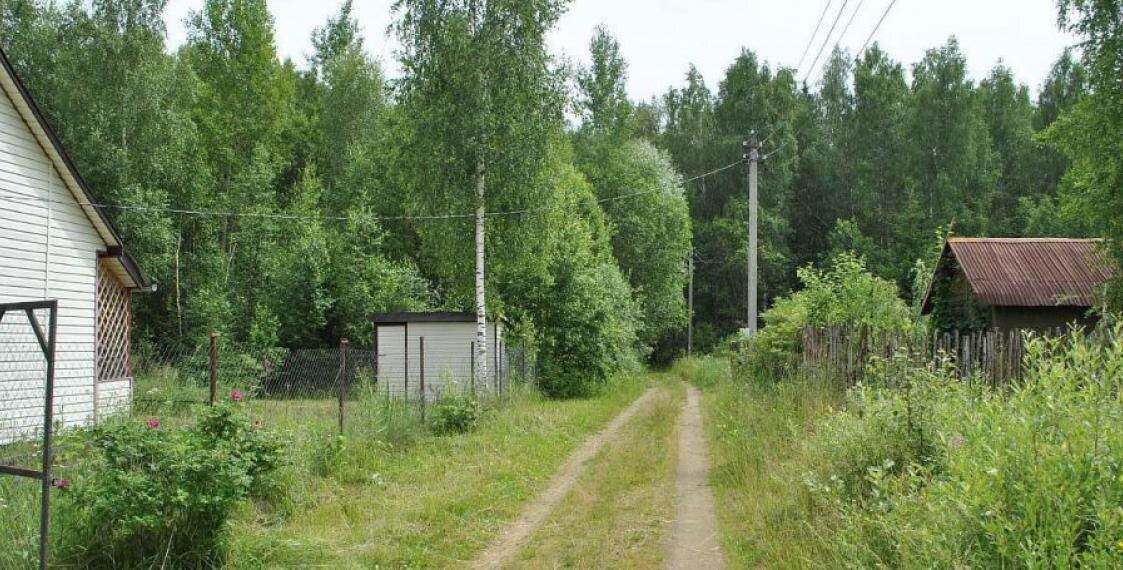 фото из открытых источников