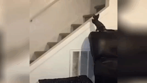 Материал взять из простора YouTube, с пометной свободное распространение.