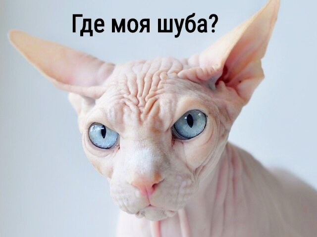 Мой вид в тот момент