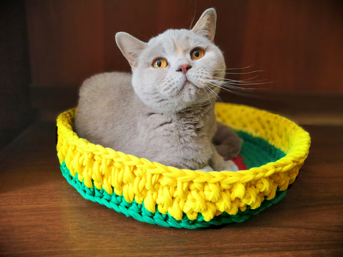 Лежанка для кота крючком из трикотажной пряжи схемы и описание
