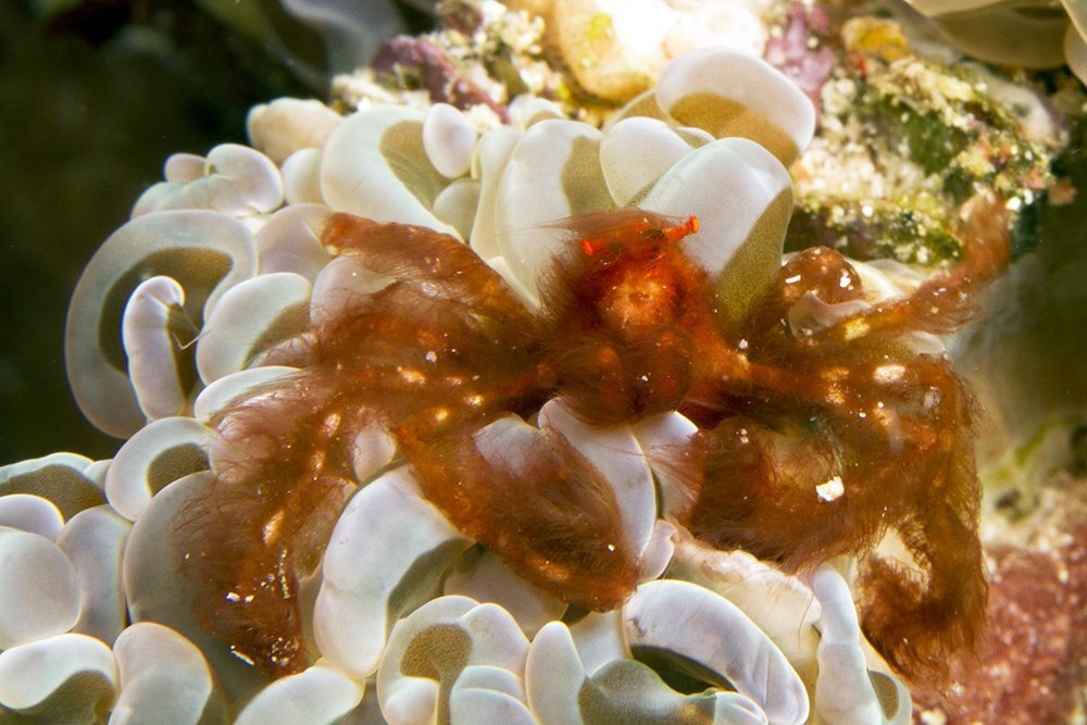 Источник фотографии https://pbs.twimg.com/media/DmlTthVXcAA_B--.jpg