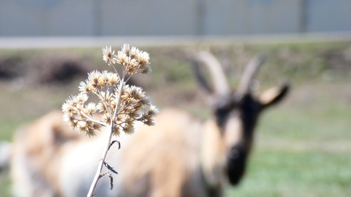 Абсолютно необработанная фотография