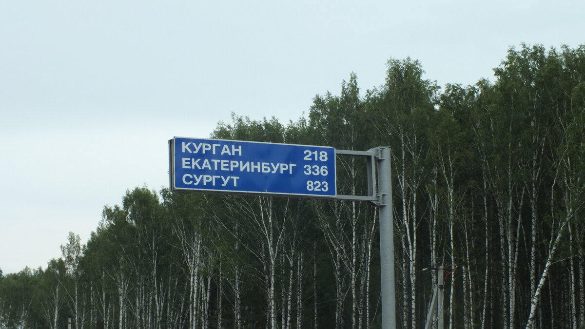 Я фотографировал не столько березы, сколько дорожный знак, но все-равно фото показательное