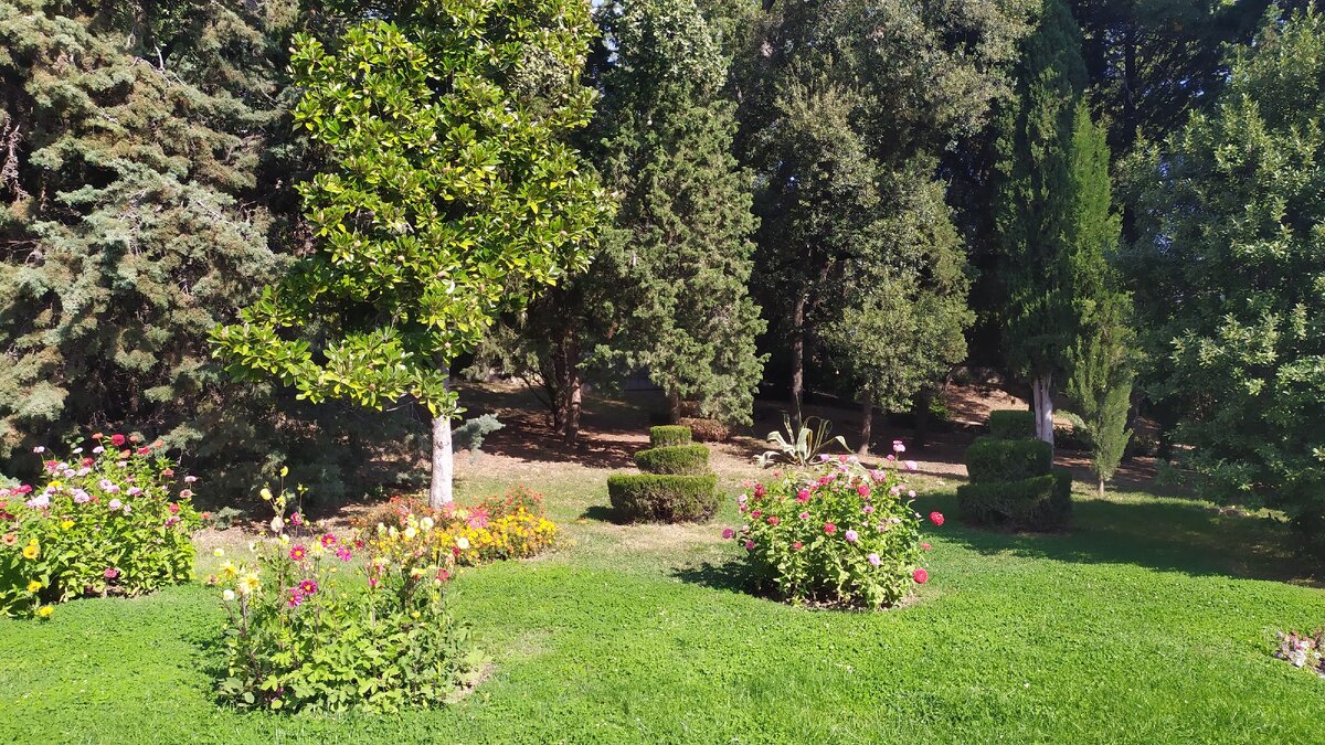 Территория парка