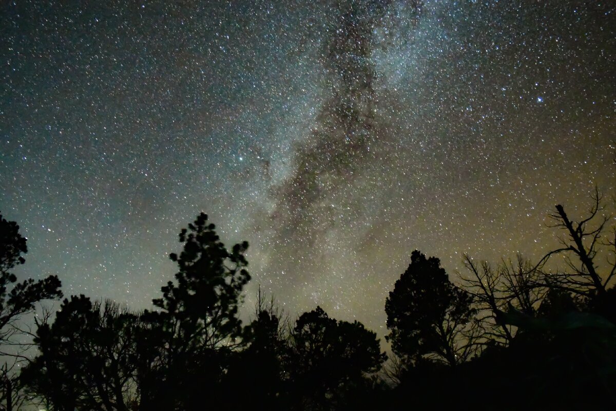 Фото взято из открытого источника. Сайт www.unsplash.com