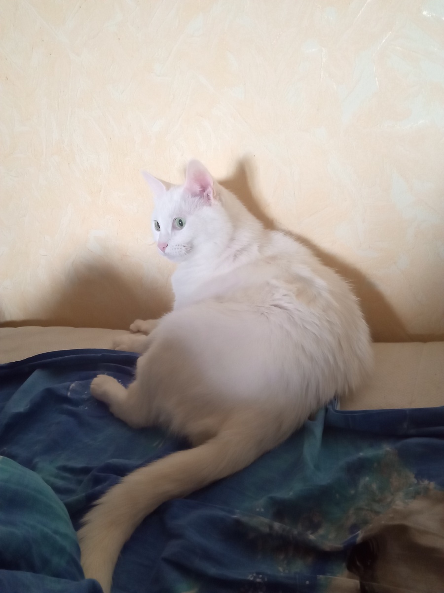 Сегодня сфоткала