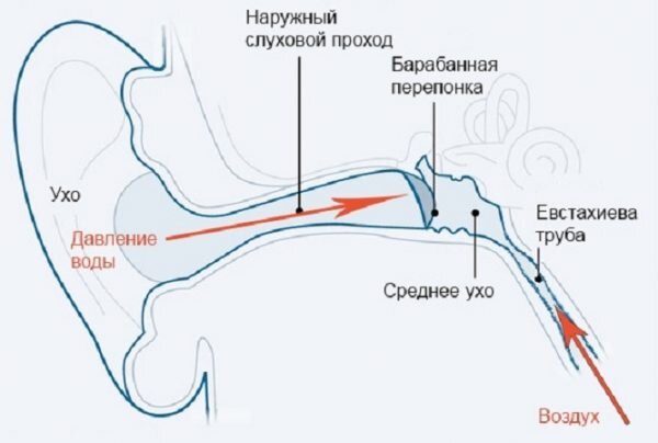 Почему закладывает уши в самолете. Почему закладывает уши в самолете
