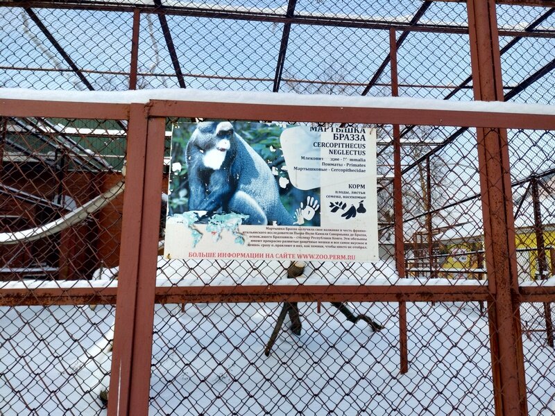 Первый зоопарк в перми. Первый зоопарк в перми. Новый зоопарк пермь адрес. Куда переехал зоопарк пермь. Анкета для устройства в пермский зоопарк.