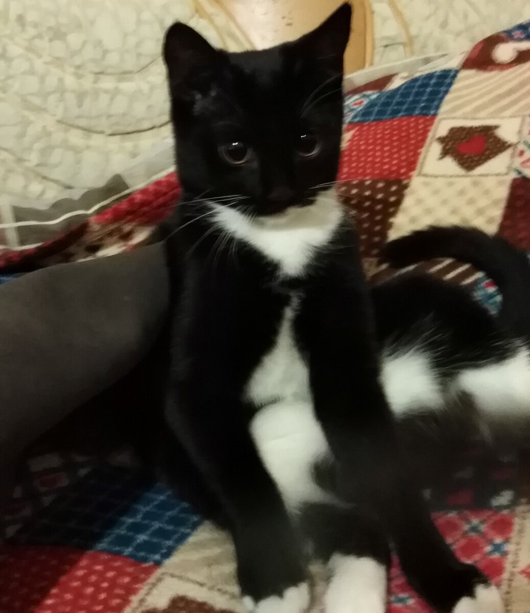 Бусенька, еще до проблемы