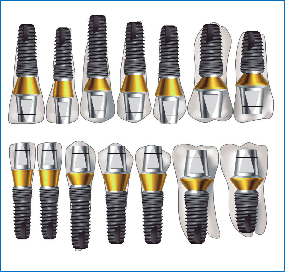    Официальный Дентиум каталог содержит более подробную информацию о продукции, предоставляется по запросу пациента.  
     
