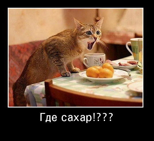Человек всеядный, хищник, травоядный, гетеротроф, плотоядный, редуцент или ... ?