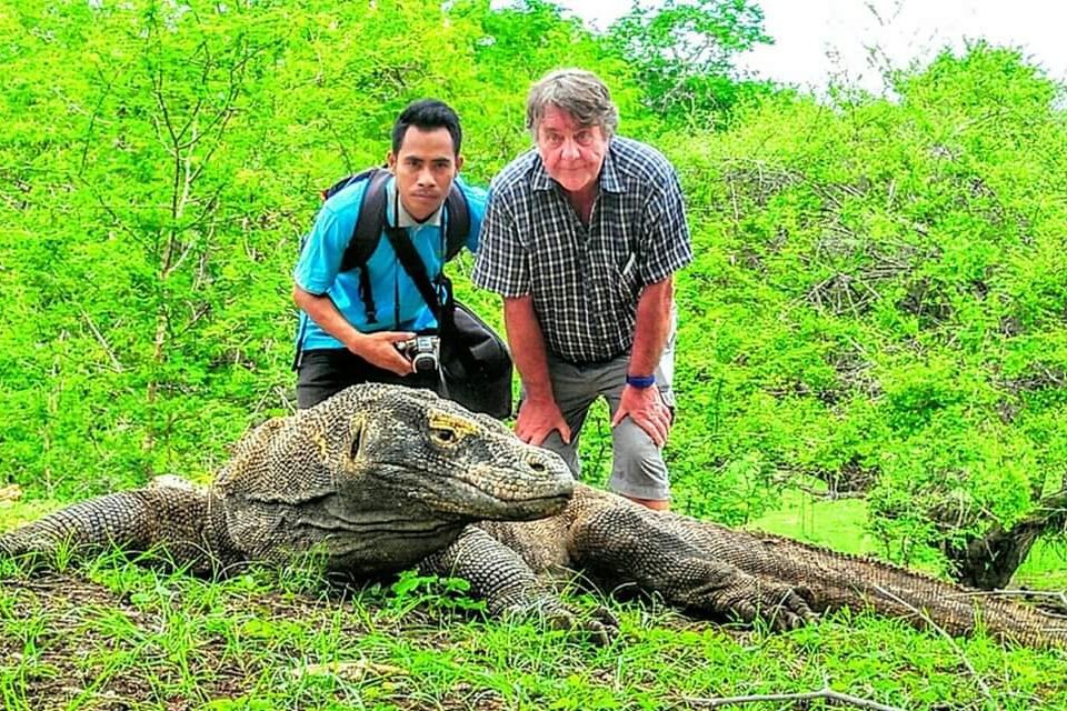 питомник в настоящей варане достиг. комодский варан. питомник в настоящей варане достиг. питомник в настоящей варане достиг. йеменский варан.