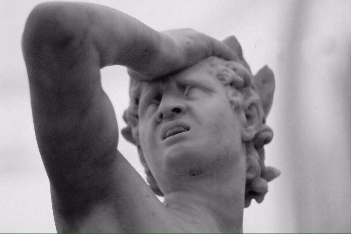 фото из открытых источников.