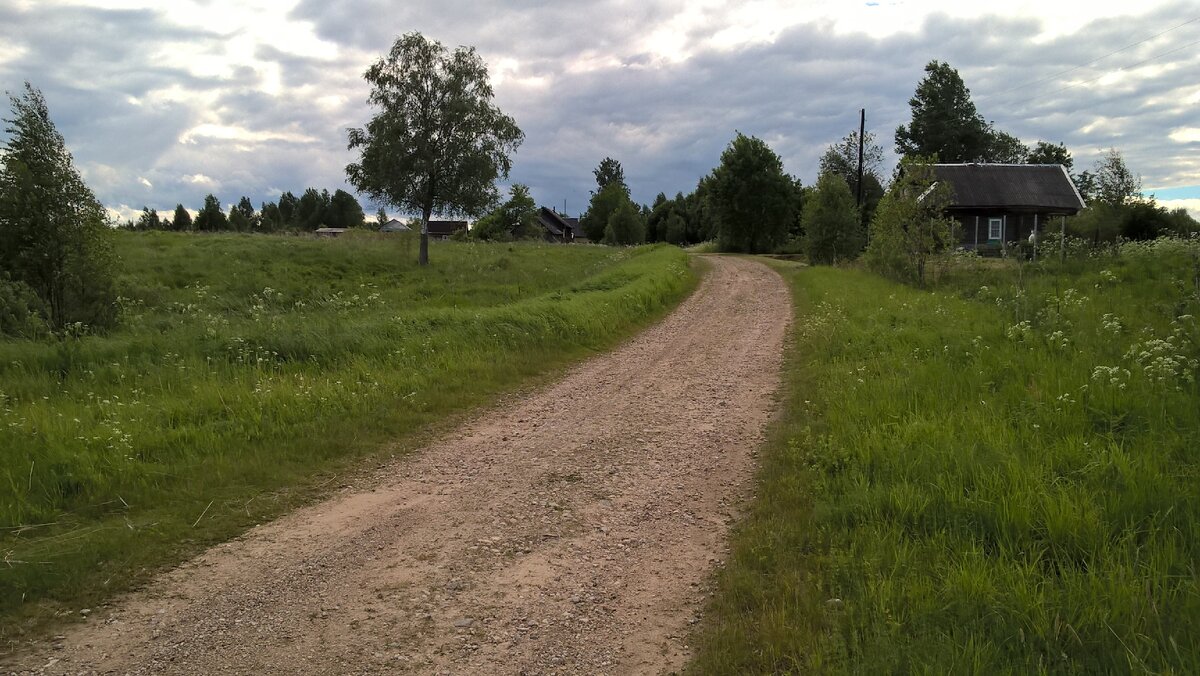 Пьяные водители в деревне | Рассказки из деревни | Дзен