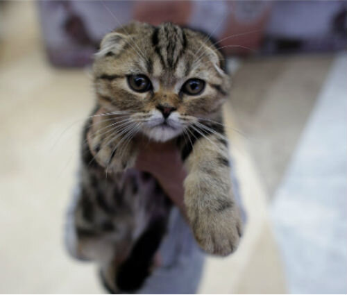 Причины заражения