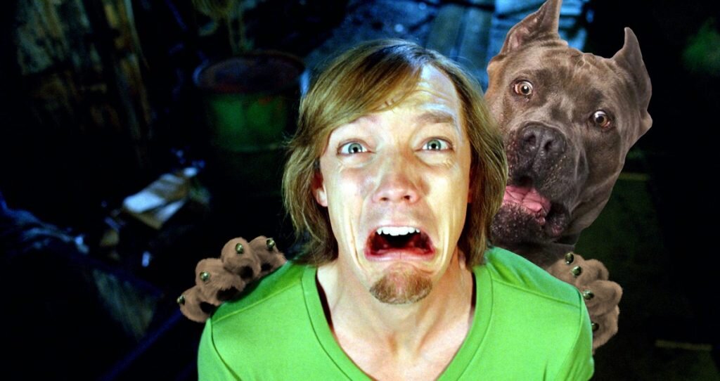 паренёк из первой категории