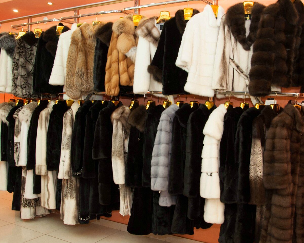 Фото: Яндекс Картинки