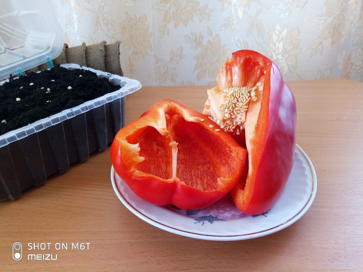 Автор - фото собственное