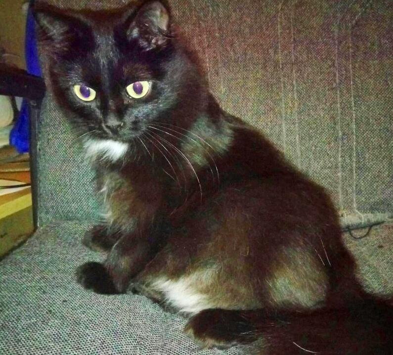 - Кто забрал мои сапожки? Обижают сиротинку! На каком основании? 