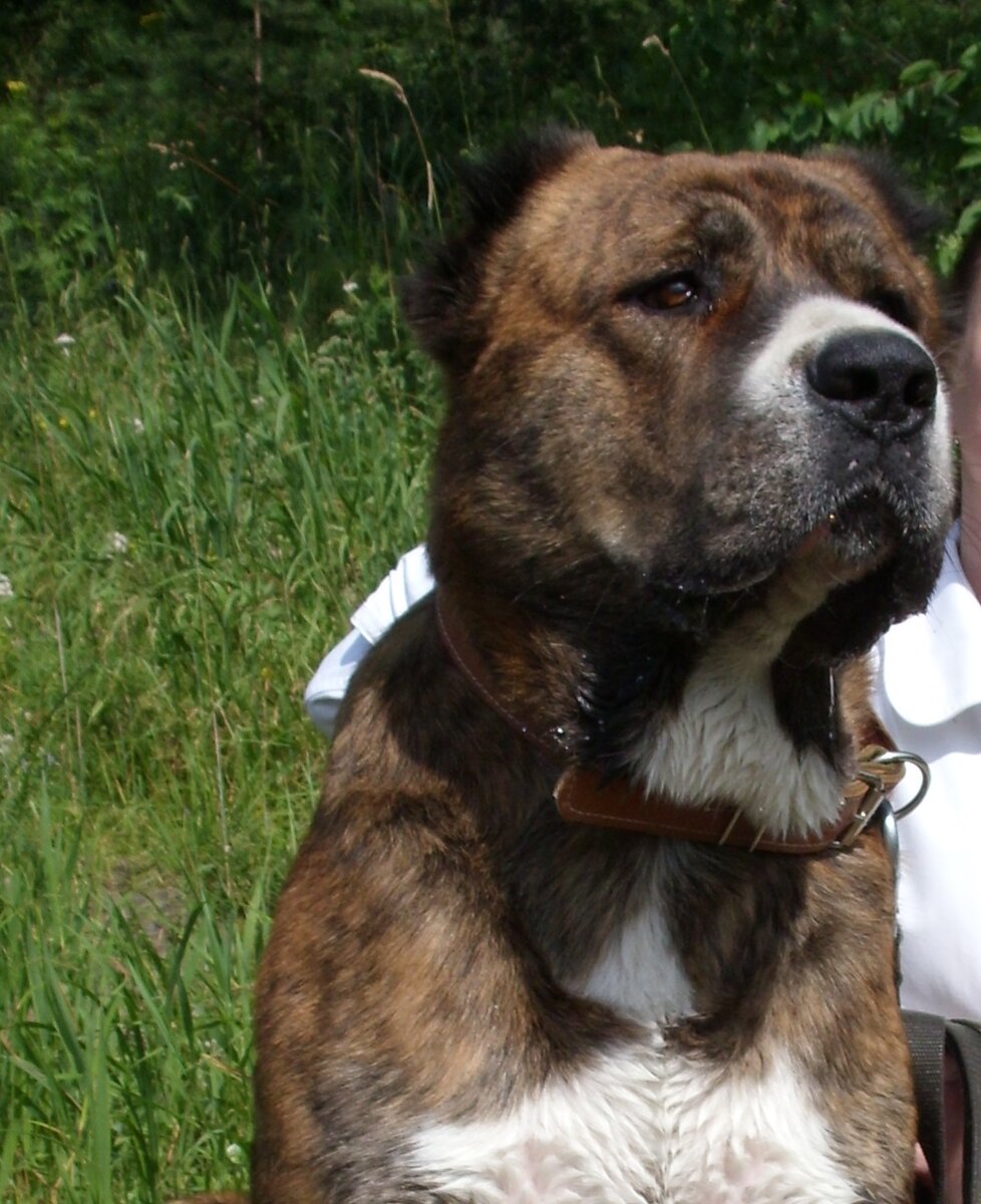 Здесь и далее - фото автора