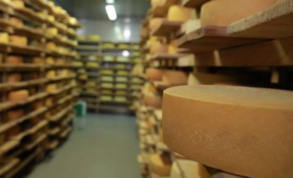 Выдержка сыра на российской сыроварне.