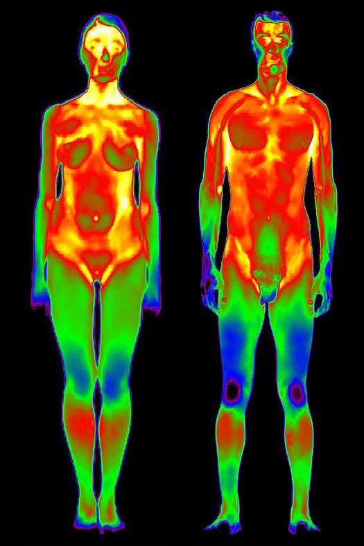 Тепловая карта человека