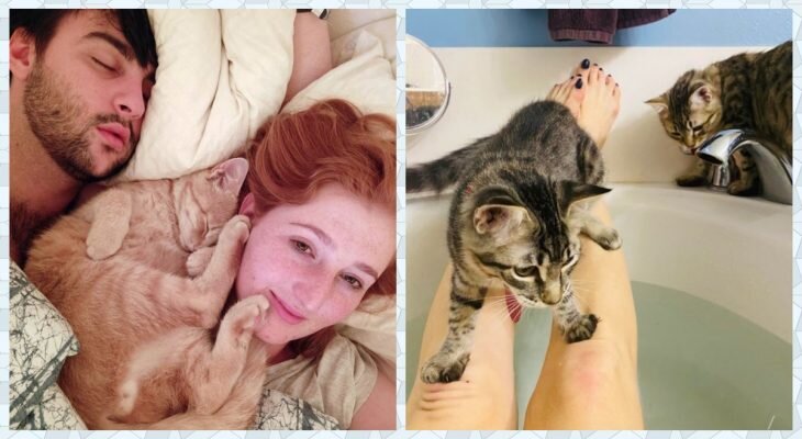 Фотоматериал: https://yandex.ru/