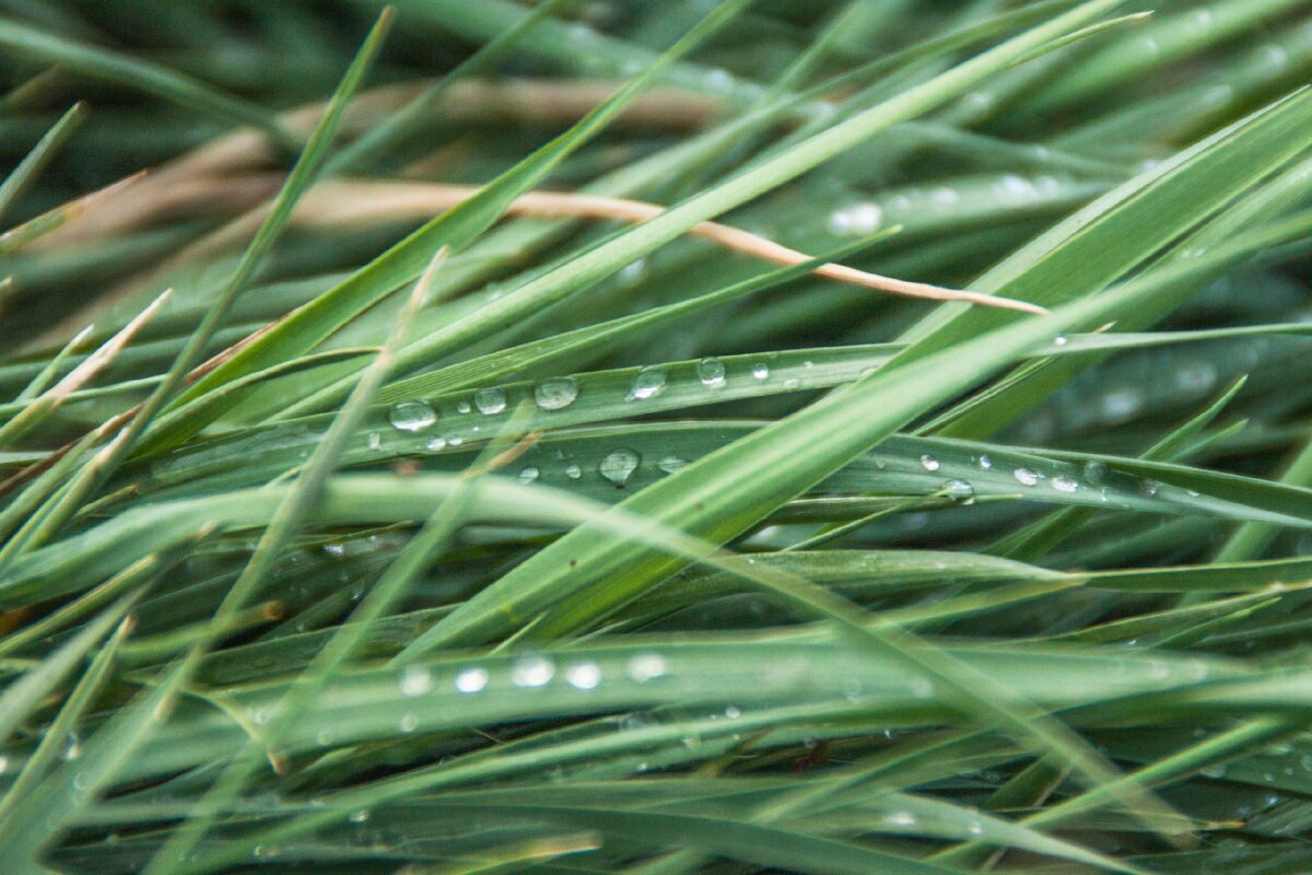 Такое не снимешь на бегу, нужно замедлиться