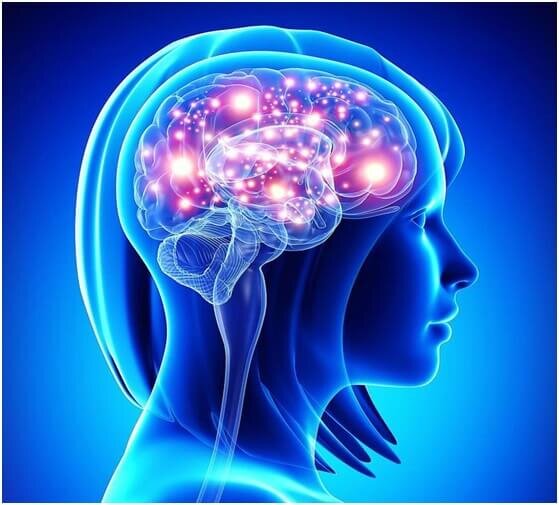 Как реагирует мозг при приближении смерти?