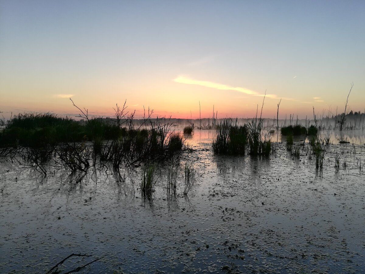 ещё только только начало