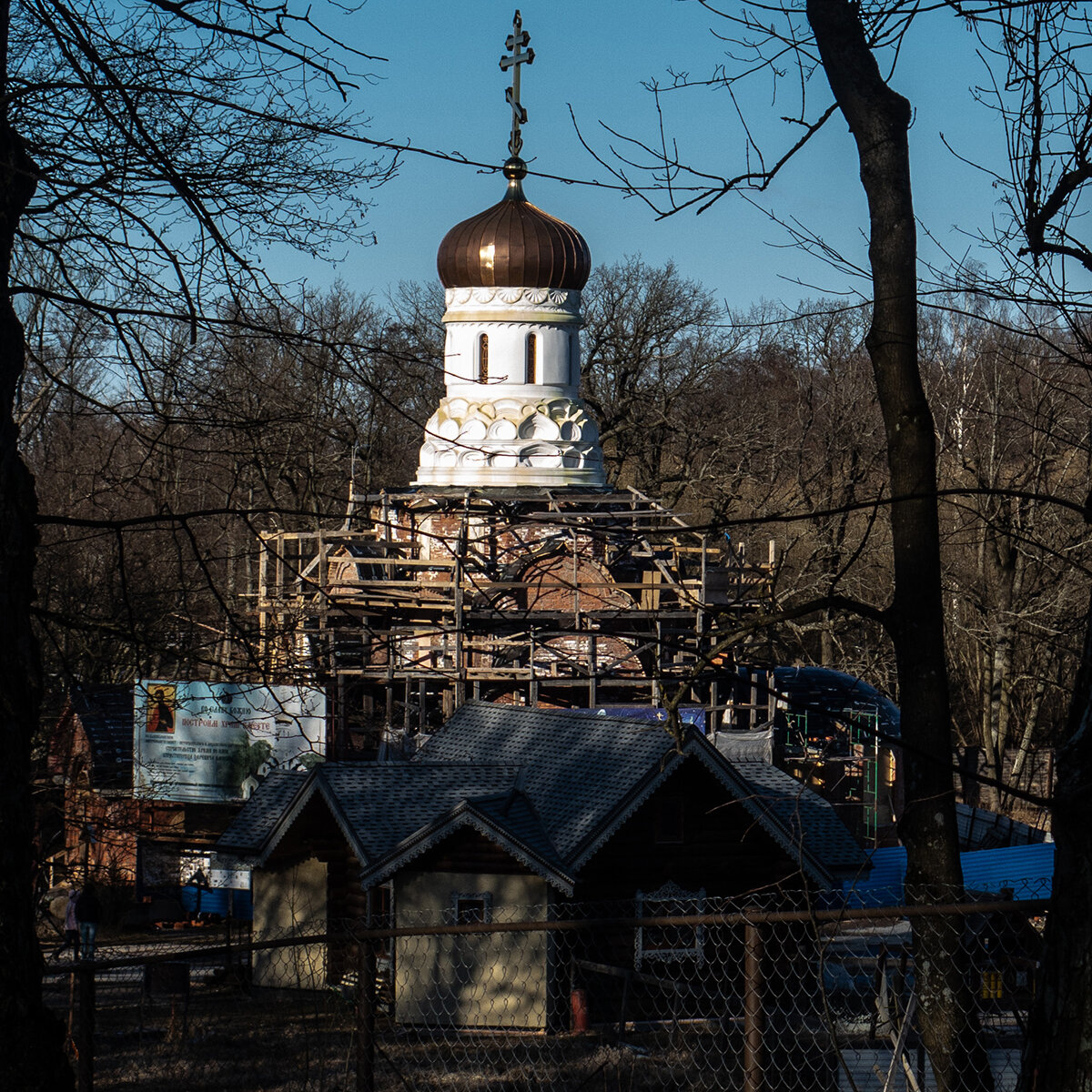 кашино. храм святого страстотерпца кашино. царевиче-алексиевский храм г алексин. храмы в алексине тульской. алексин церковь в бору.