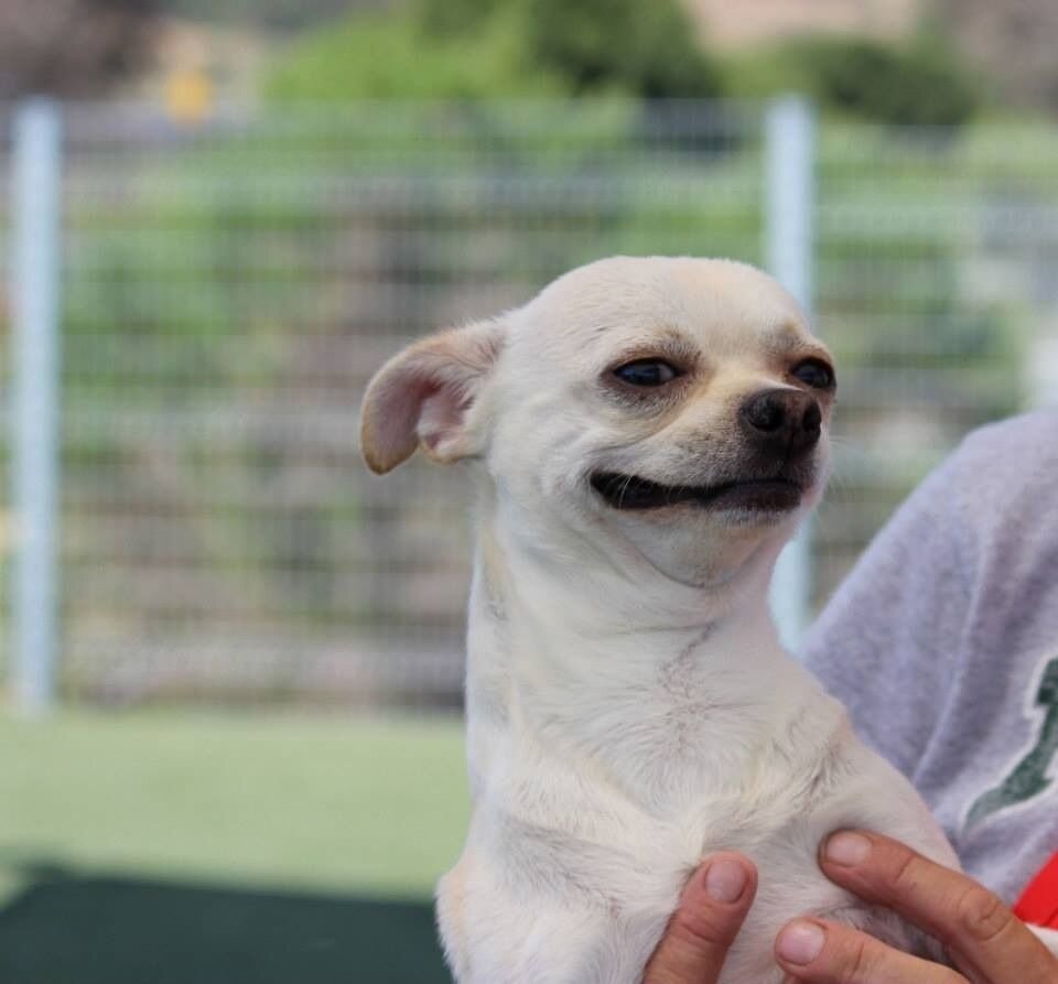 Картинка была взята на бесплатном фотостоке pixabay