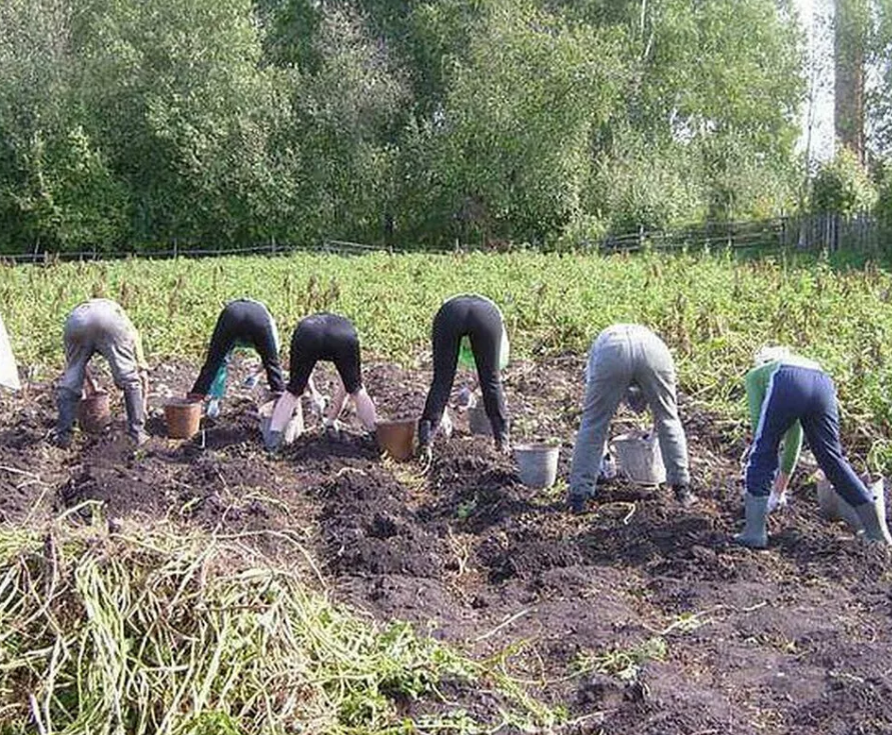 Крепитесь люди, скоро дача ...