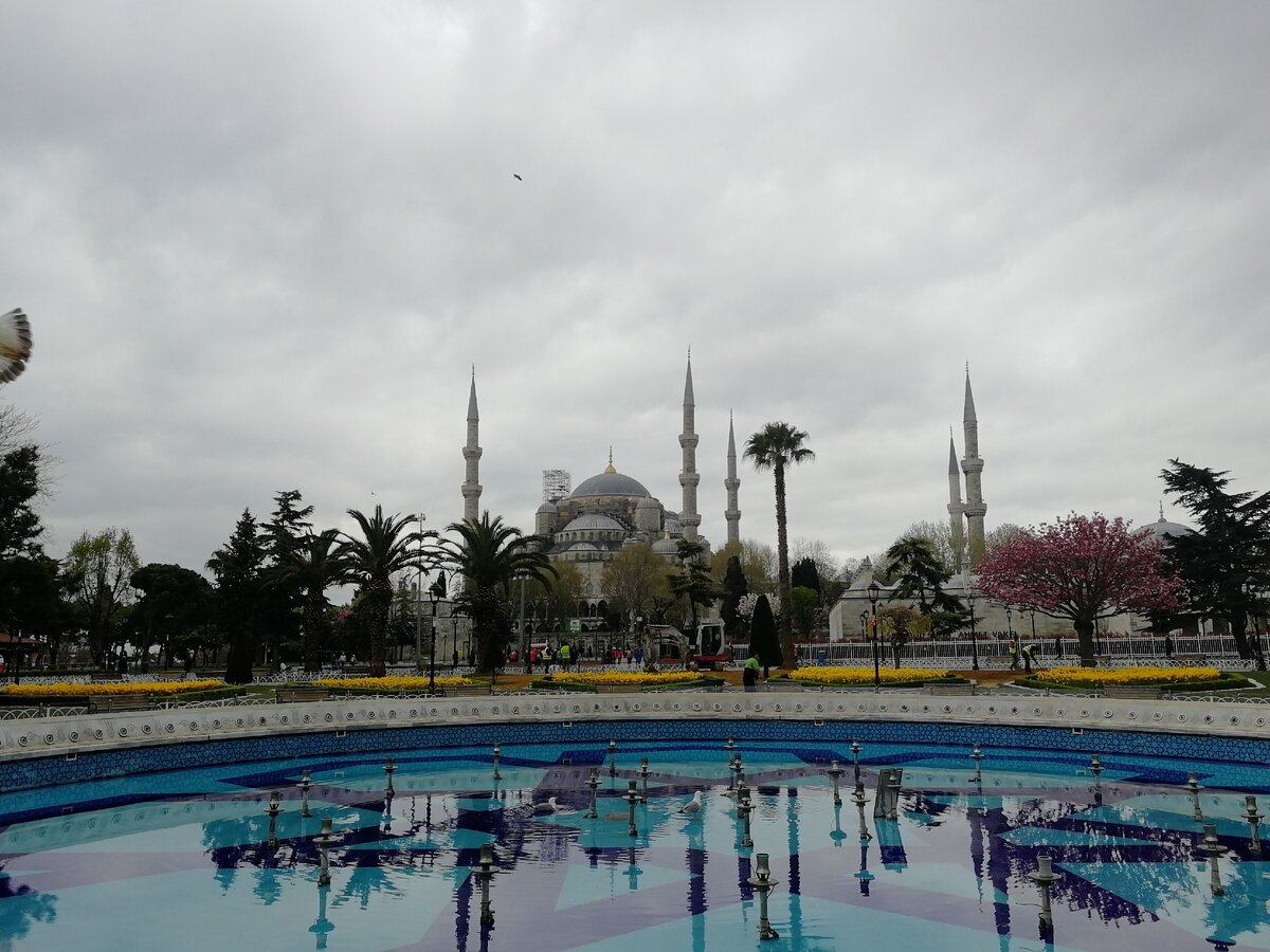 Цель моей поездки - путешествие по Турции и прохождение достопримечательностей Стамбула, который видела только в сериалах!