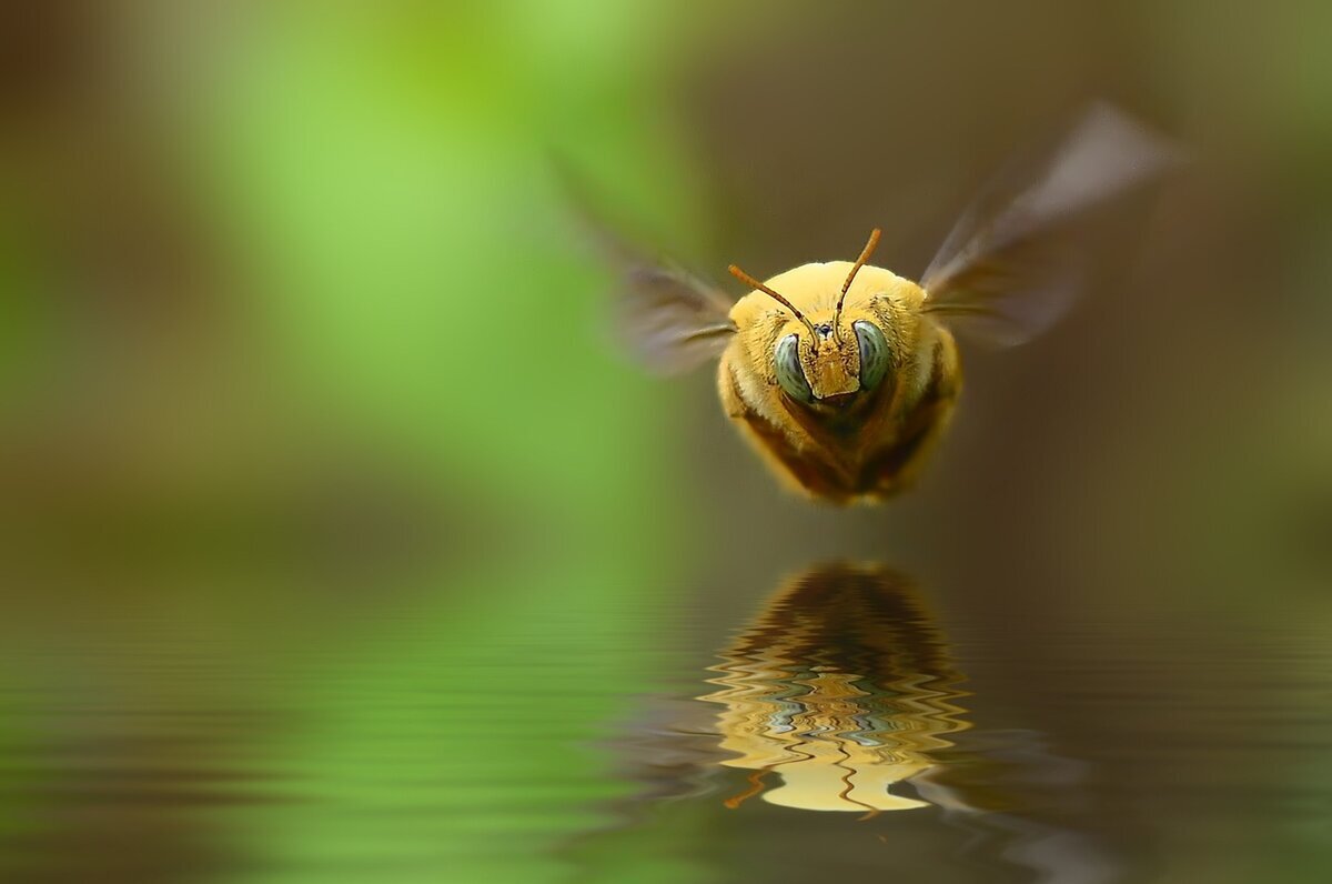 фото яндекс картинки