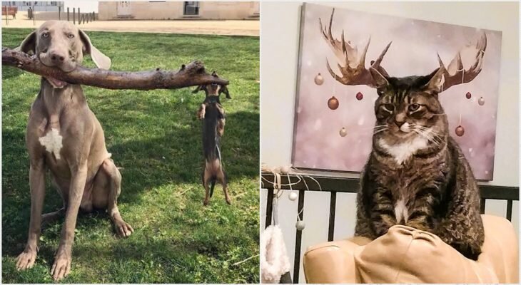 Фотоматериал: https://www.adme.ru/