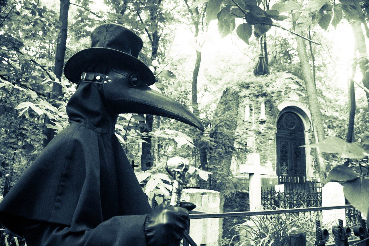 изображение из открытых источников