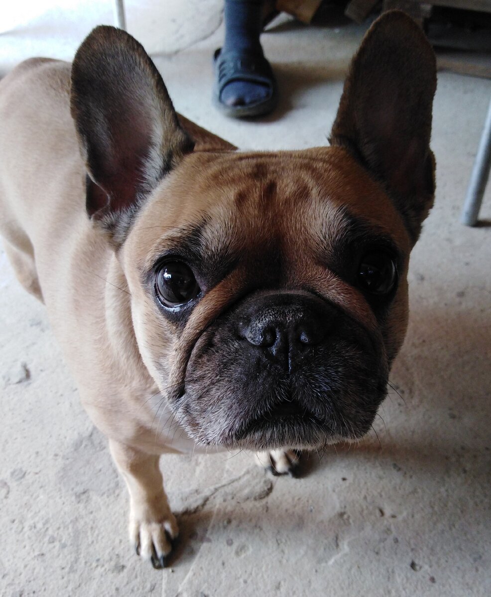 Я уже подписался! А Ты?! Собственное фото.