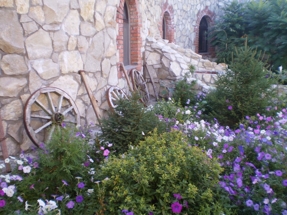 Фото из личного архива. Вешки. Донская земля.