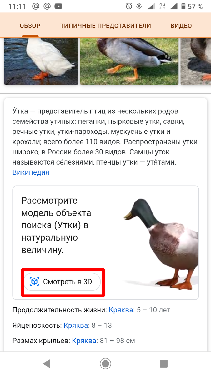 4. Затем на следующей странице нажмите на кнопку "Посмотреть у себя" 

5. Для того, чтобы 3D-модель животного отобразилась, нужно направить телефон на пол и несколько раз совершить круговые движения телефоном. После чего выбранное животное появится.


6. Вы можете перемещать животное по комнате. Просто зажмите его пальцем и двигайте в нужное место.



