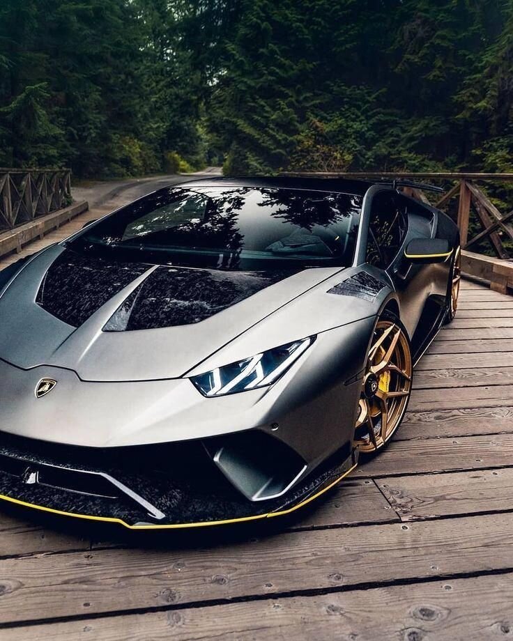 Фото с яндекса