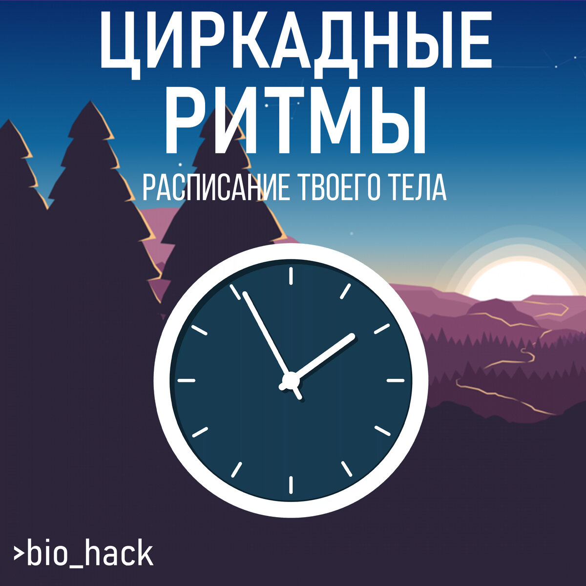 Биоритмы по часам. Циркадные. Суточный ритм. Циркадные. Циркадные ритмы.